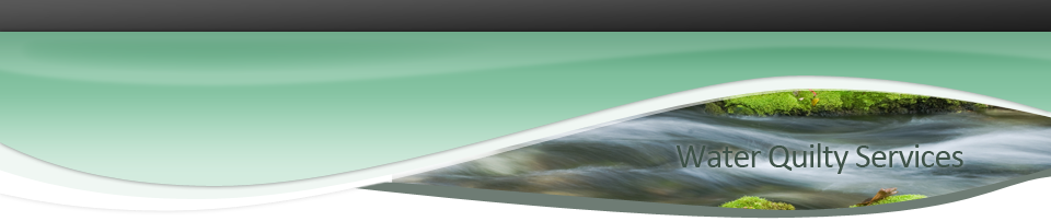 MEC